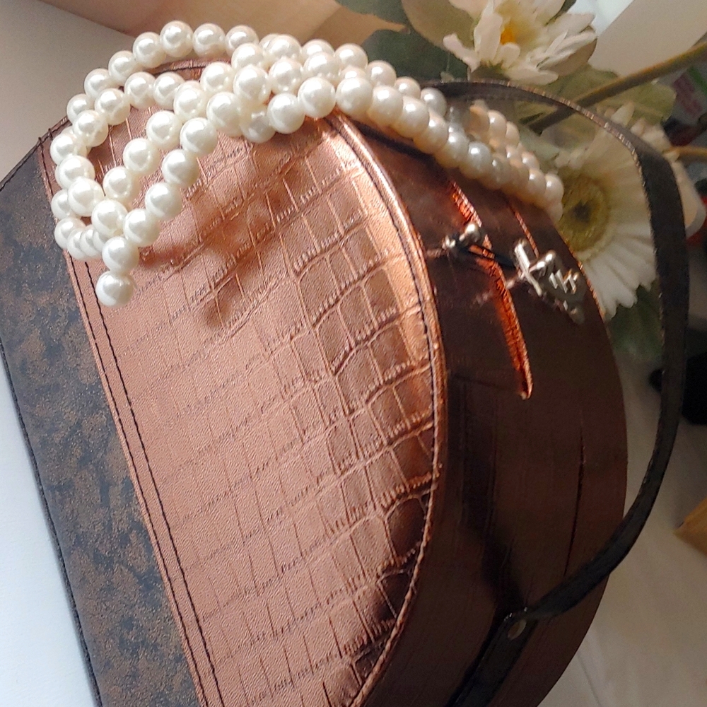 Makeup Case